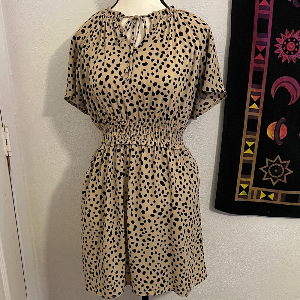 Vanilla Bay Spotted Black and Tan Mini Dress